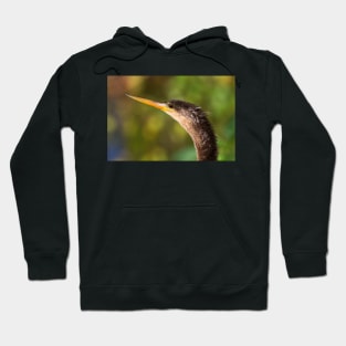 Anhinga Hoodie